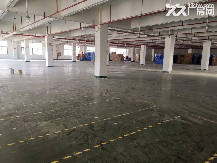 临安青山湖41亩土地8000方厂房整体转让，空地面积30亩，可以再建造。价格面议-图3