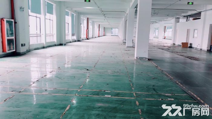 萧山标准新建厂房，整栋10000方单层1500方，适合淘宝仓储-图5