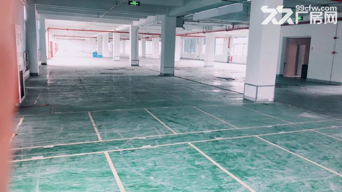 萧山标准新建厂房，整栋10000方单层1500方，适合淘宝仓储-图2