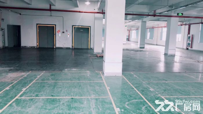 萧山标准新建厂房，整栋10000方单层1500方，适合淘宝仓储-图7