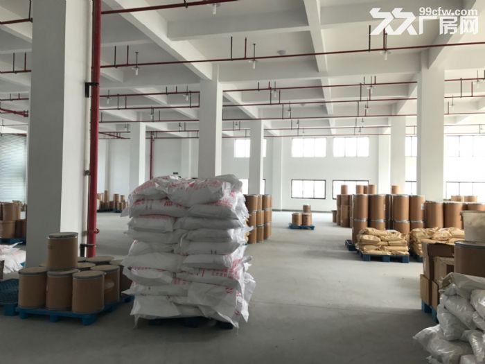 闻堰独栋不拆迁，500到3000方自由分割淘宝电子-图8