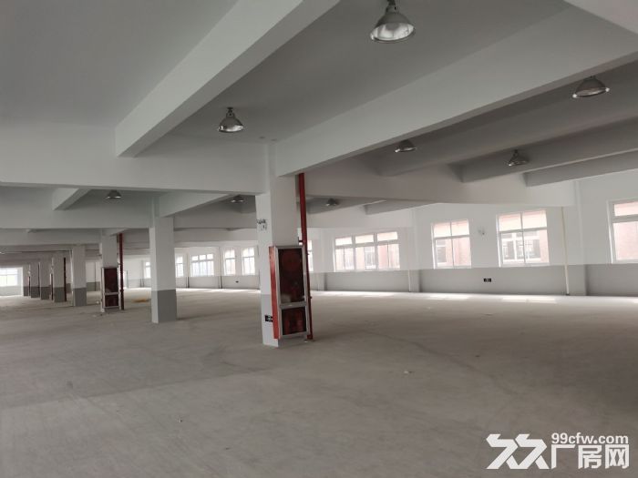 出租德清钟管6000方厂房-图2