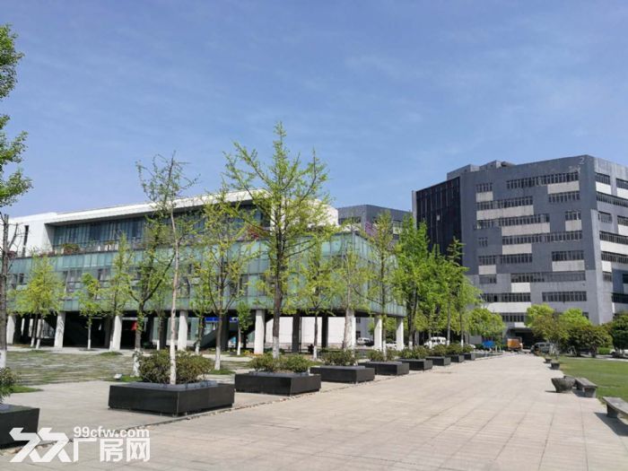 滨江萧山面积200方到50000方不等 楼上楼下都有适合仓储办公轻工