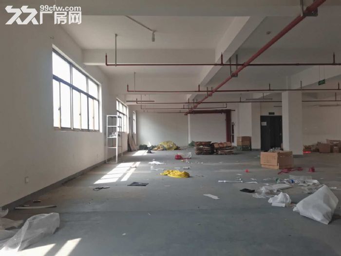 滨江长河西兴60方到4000方大小面积都有出租-图2