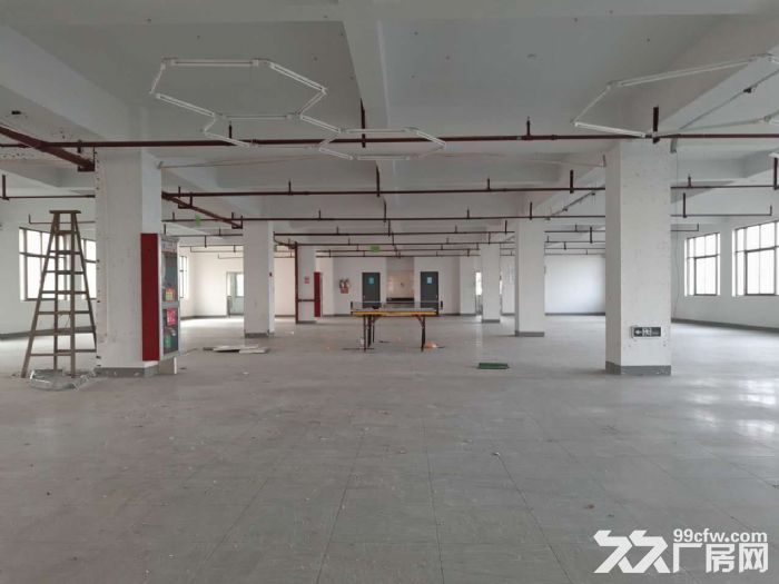 滨江长河西兴60方到4000方大小面积都有出租-图4