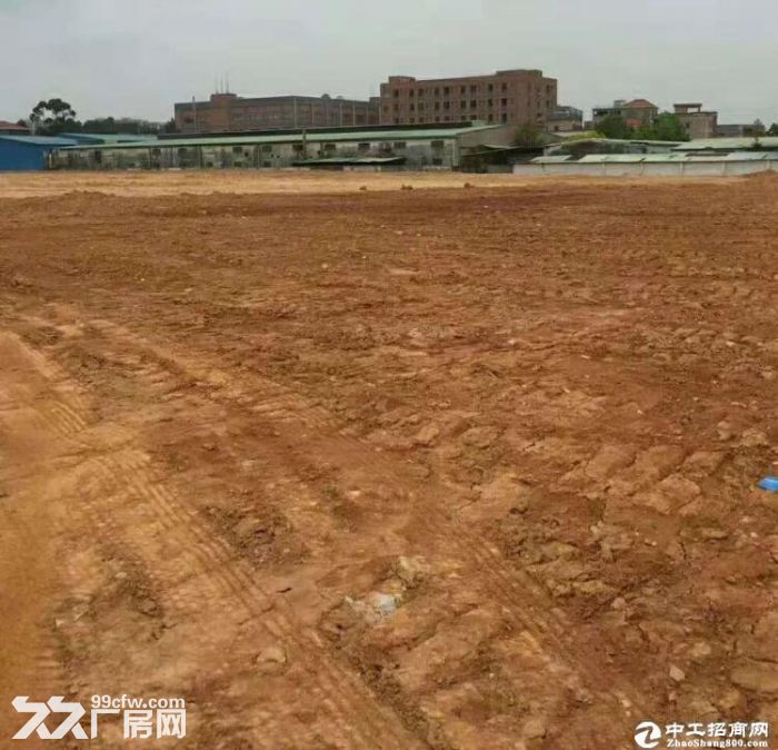 勾庄7亩和康桥25亩空地出租报价4.8万一亩，主道路旁土地方正平整大车进出方便