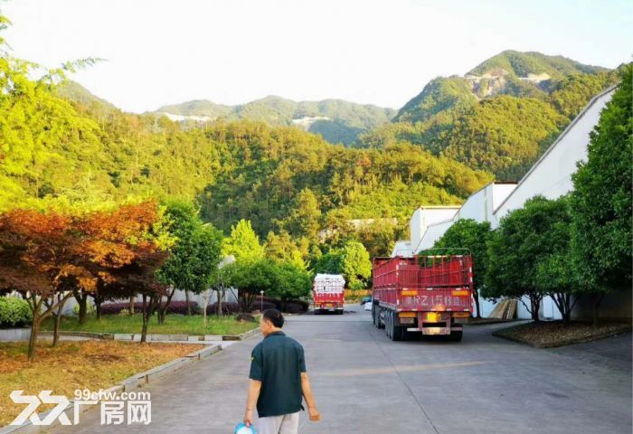 杭州建德 58000㎡ 厂房可分租 独院 有燃气 可环评-图4
