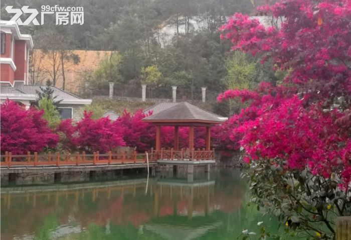 杭州建德 58000㎡ 厂房可分租 独院 有燃气 可环评-图5