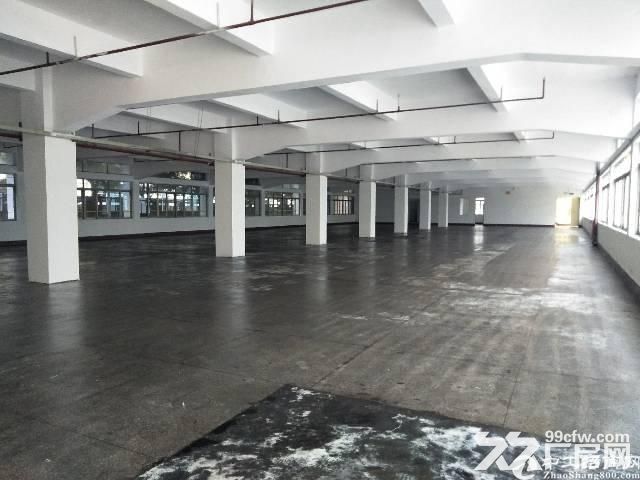 老余杭溪塔村单层2500方层高8米带5吨行车报价33机械仓库为主-图2