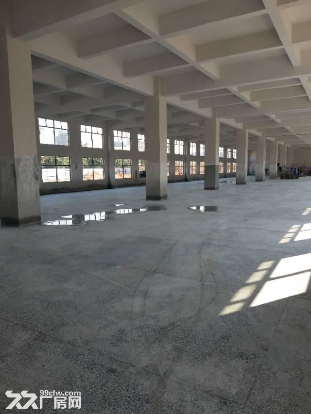 老余杭溪塔村单层2500方层高8米带5吨行车报价33机械仓库为主-图3