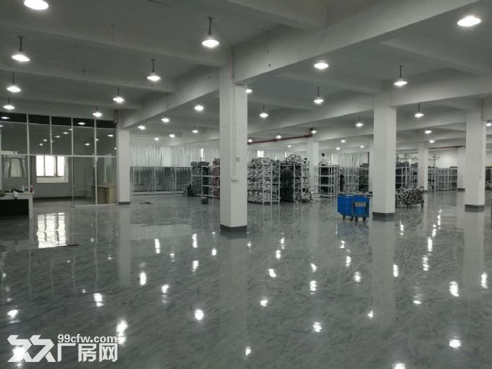 滨康路500 600 1600方标准厂房带装修-图2