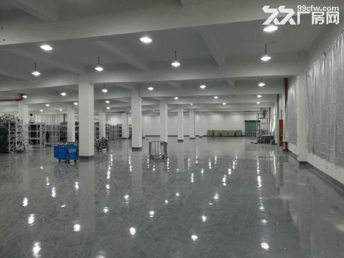 滨康路500 600 1600方标准厂房带装修-图4