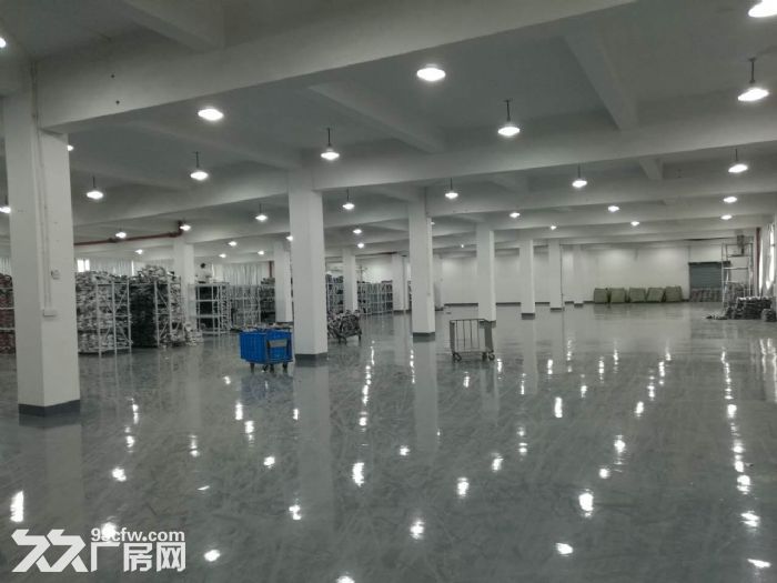 滨康路500 600 1600方标准厂房带装修-图6