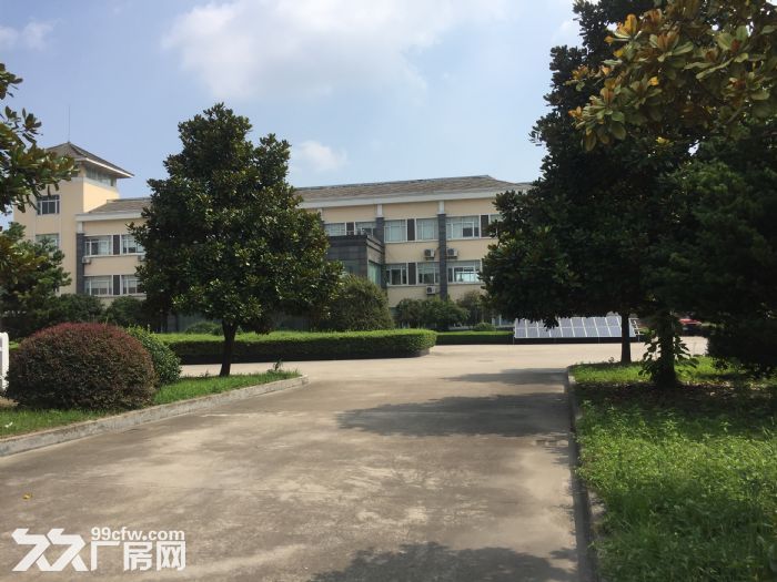 萧山标准厂房出租，大小面积都有，可分割，价格实惠，无中介费-图4