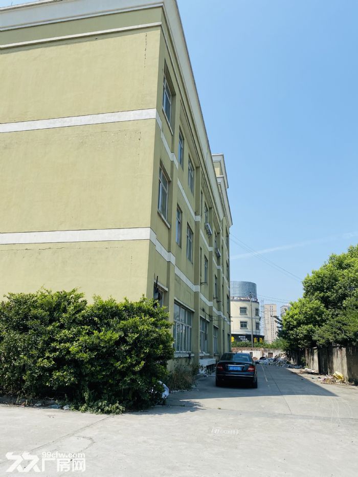 红宝石广场仓库出租，临大马路交通方便，层高4.5米配货梯-图6