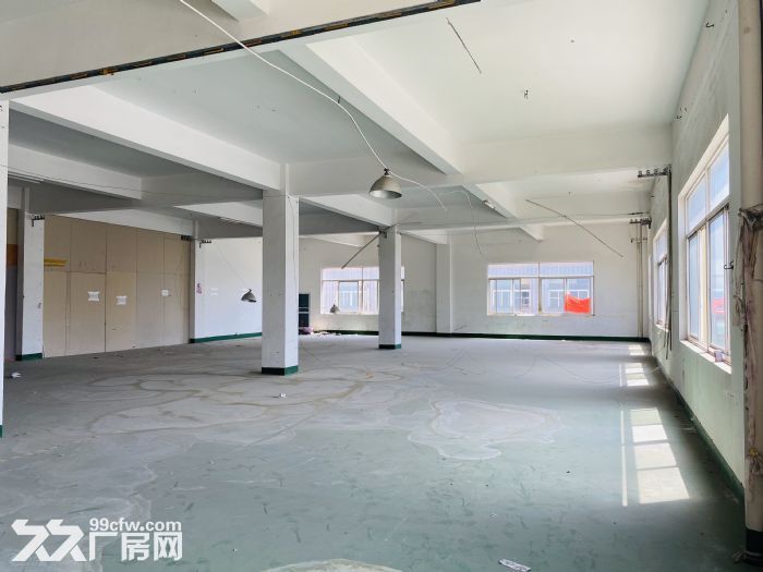 红宝石广场仓库出租，临大马路交通方便，层高4.5米配货梯-图4