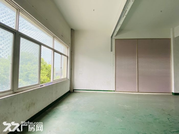 红宝石广场仓库出租，临大马路交通方便，层高4.5米配货梯-图8