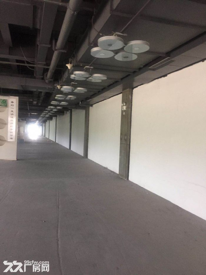 一楼仓库出租，宿舍食堂超市配套全，交通方便车位充足-图3