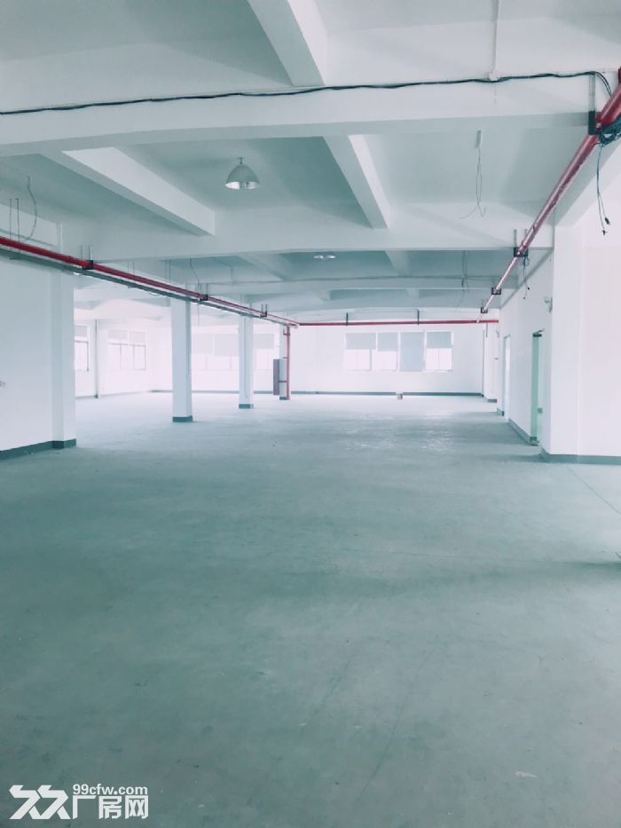 闻堰标准厂房300方2000方，招淘宝电子科技等