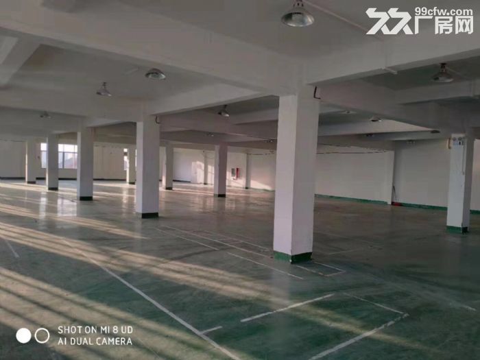 闻堰标准厂房300方2000方，招淘宝电子科技等-图2