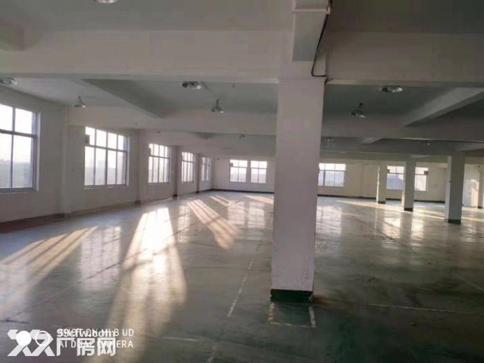 闻堰标准厂房300方2000方，招淘宝电子科技等-图3