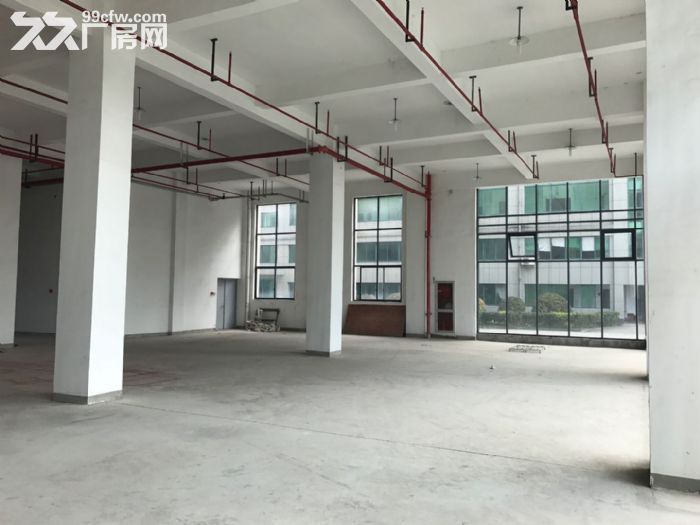 整层1200方层高高，适合服装展厅科技研发仓储类入住-图4