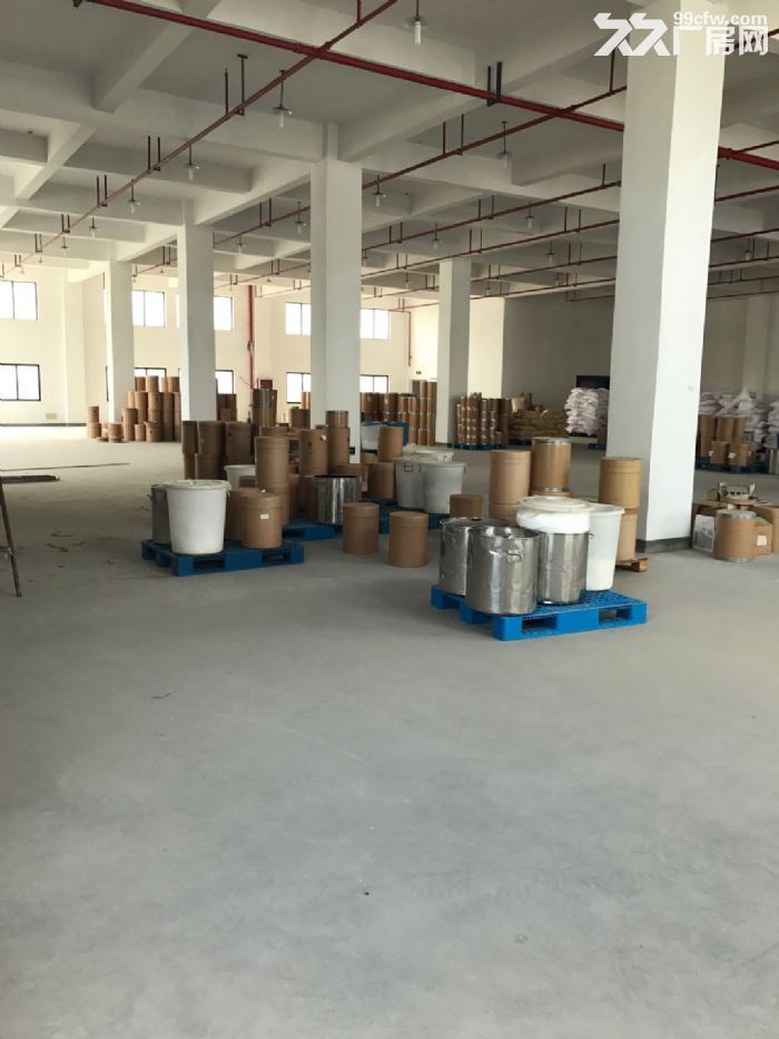滨江1300方厂房出租，大货梯，适合淘宝服装设计展厅客户-图2