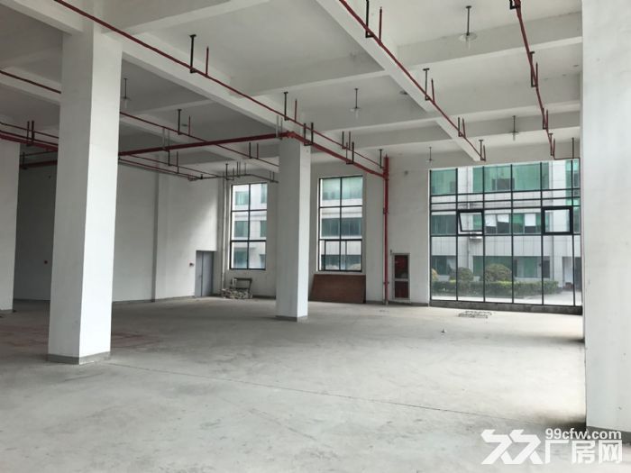滨江1300方厂房出租，大货梯，适合淘宝服装设计展厅客户-图6
