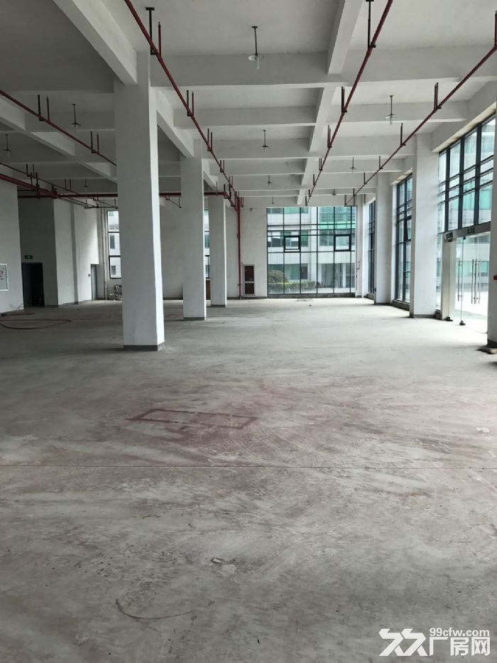 滨江1300方厂房出租，大货梯，适合淘宝服装设计展厅客户-图7