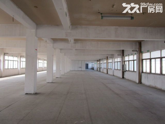 西兴好房招租   仓储  淘宝办公 