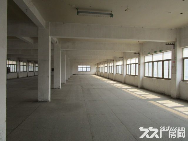 西兴好房招租   仓储  淘宝办公 -图5