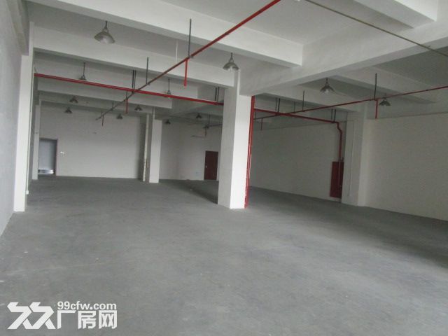 滨文路附近500方厂房出租   仓储 组装 办公-图3