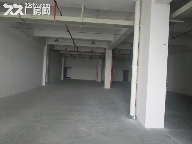 滨文路附近500方厂房出租   仓储 组装 办公-图4