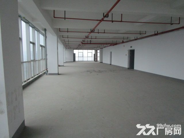 西兴厂房出租  速抢    先到先得-图2