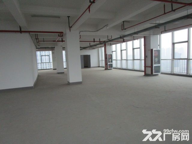 西兴厂房出租  速抢    先到先得-图3