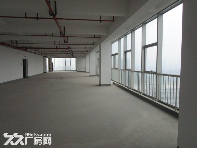 西兴厂房出租  速抢    先到先得-图4