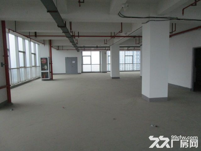 西兴厂房出租  速抢    先到先得-图5