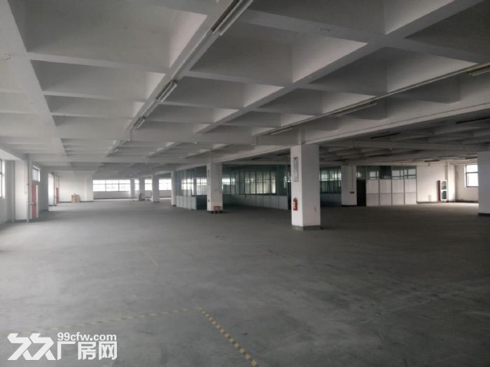萧山大面积厂房出租  可分割  价格合适