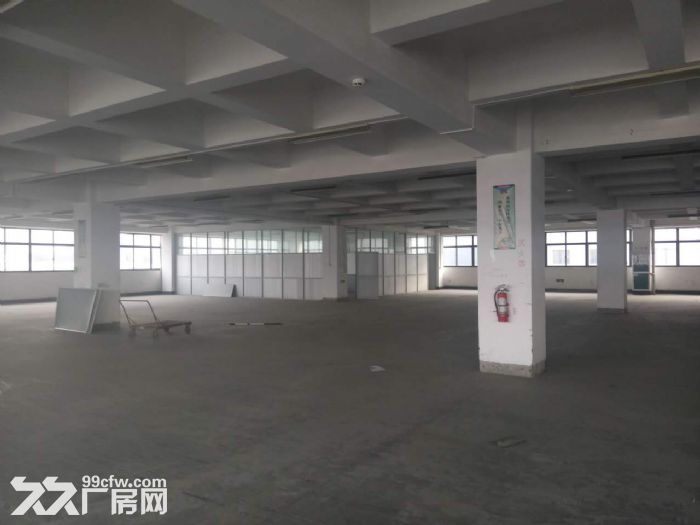 萧山大面积厂房出租  可分割  价格合适-图3