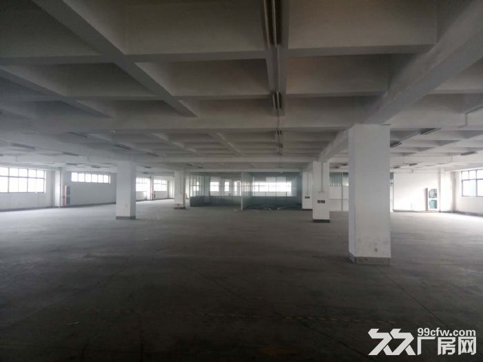 萧山大面积厂房出租  可分割  价格合适-图4