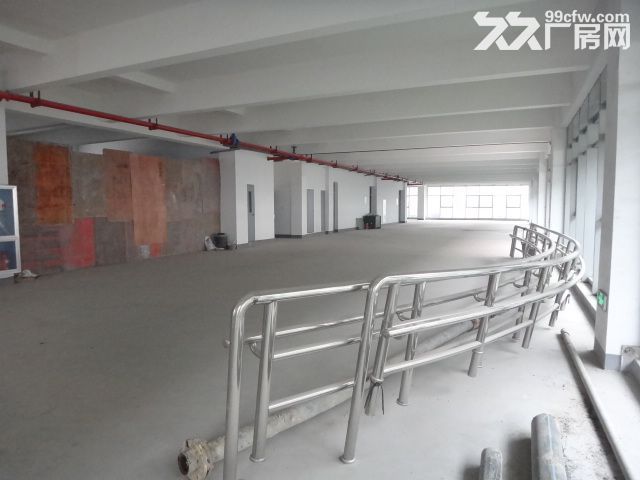 1000方厂房出租   环境好  适合淘宝 仓储等-图5