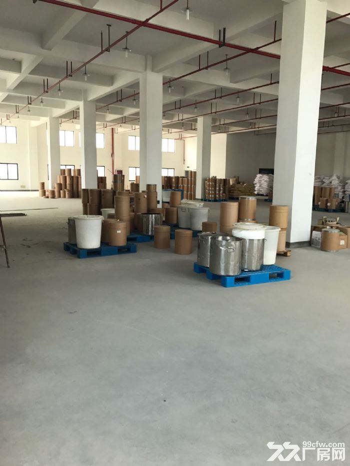 滨江独栋单层2000方标准厂房，电商服装设计展厅等-图6