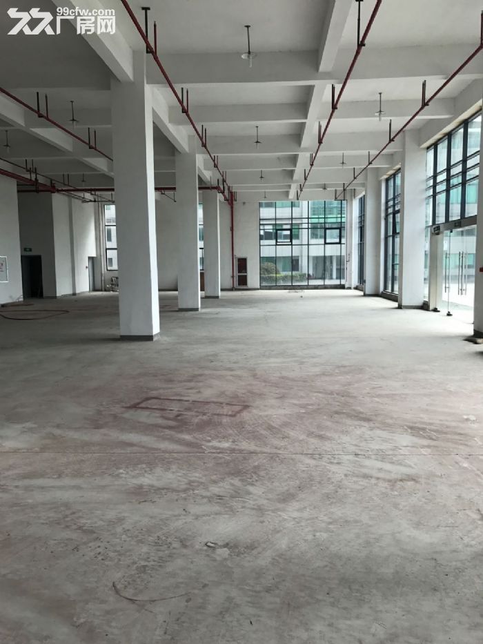 滨江独栋单层2000方标准厂房，电商服装设计展厅等-图3