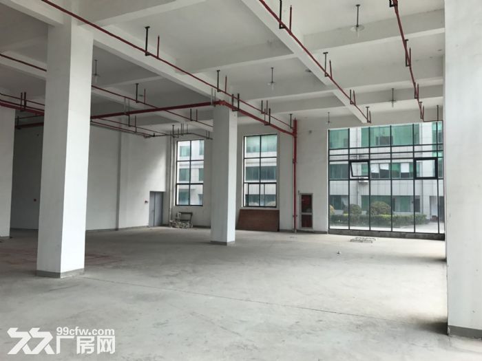 滨江独栋单层2000方标准厂房，电商服装设计展厅等-图2