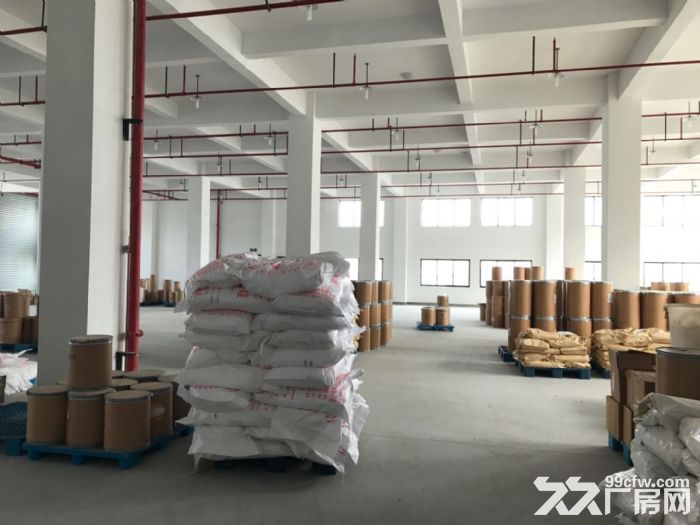 滨江独栋单层2000方标准厂房，电商服装设计展厅等-图5