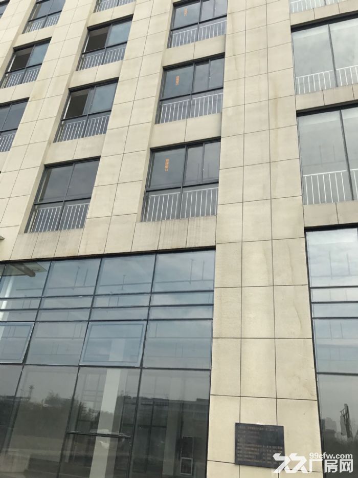 滨江独栋单层2000方标准厂房，电商服装设计展厅等-图7