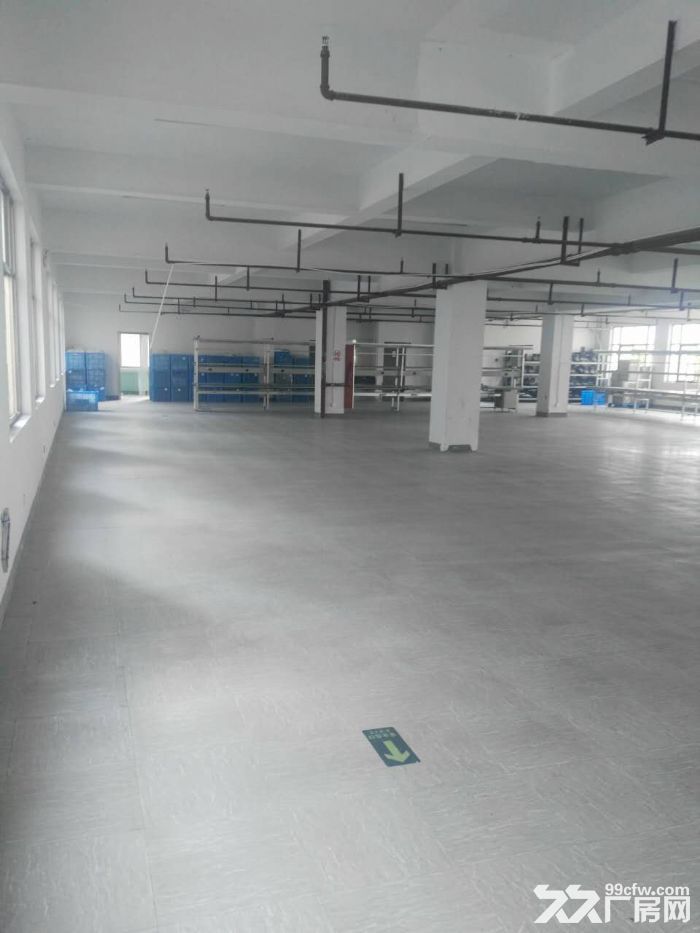 滨江长河600方出租，适合服装仓储办公等-图2