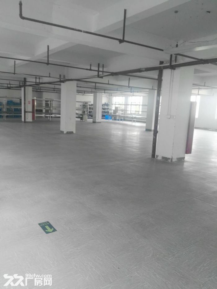 滨江长河600方出租，适合服装仓储办公等-图3