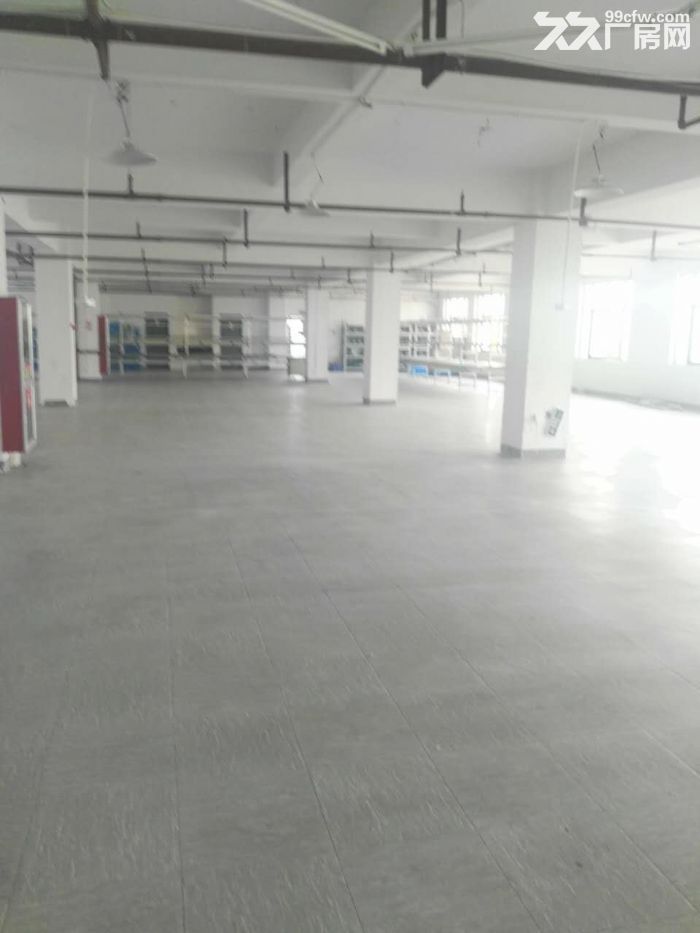 滨江长河600方出租，适合服装仓储办公等-图4