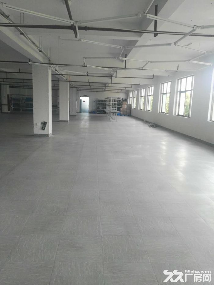 滨江长河600方出租，适合服装仓储办公等-图5